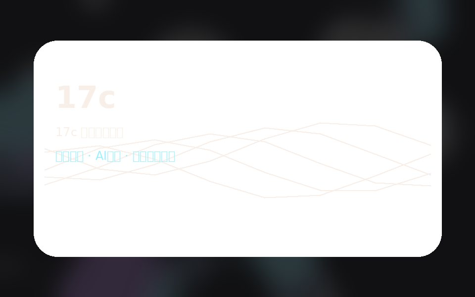17c 影视制作总监